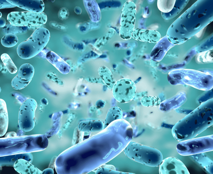 La lotta contro i batteri e i virus