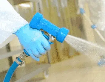 Al momento stai visualizzando Disinfestazione a Dolcè