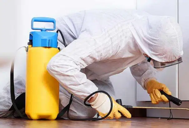 disinfestazionea Bari