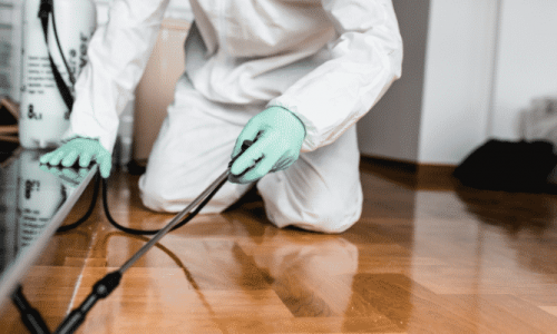 Disinfestazione a Sant’Eusanio del Sangro